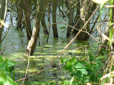 Bagno nr 5